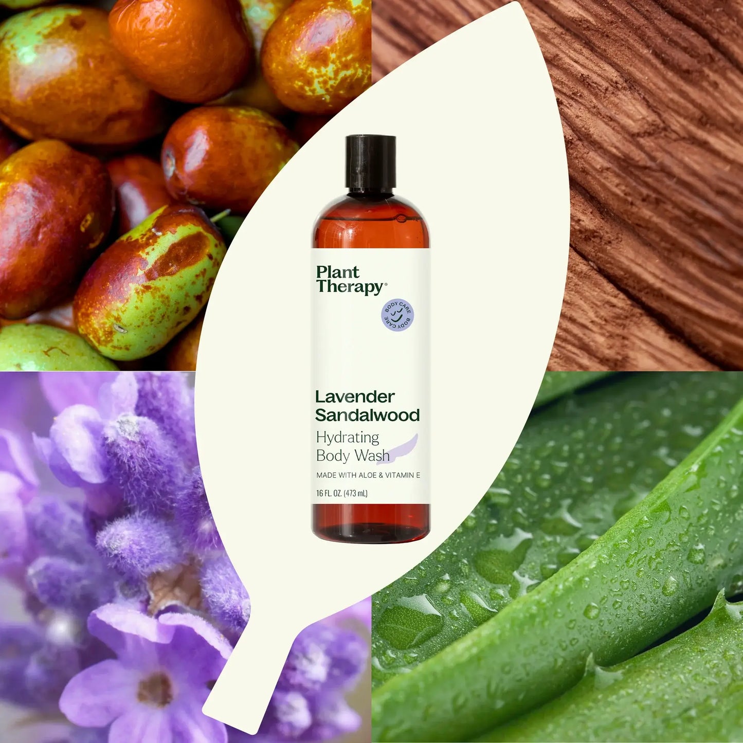 Lavender Sandalwood Body Wash 16 oz