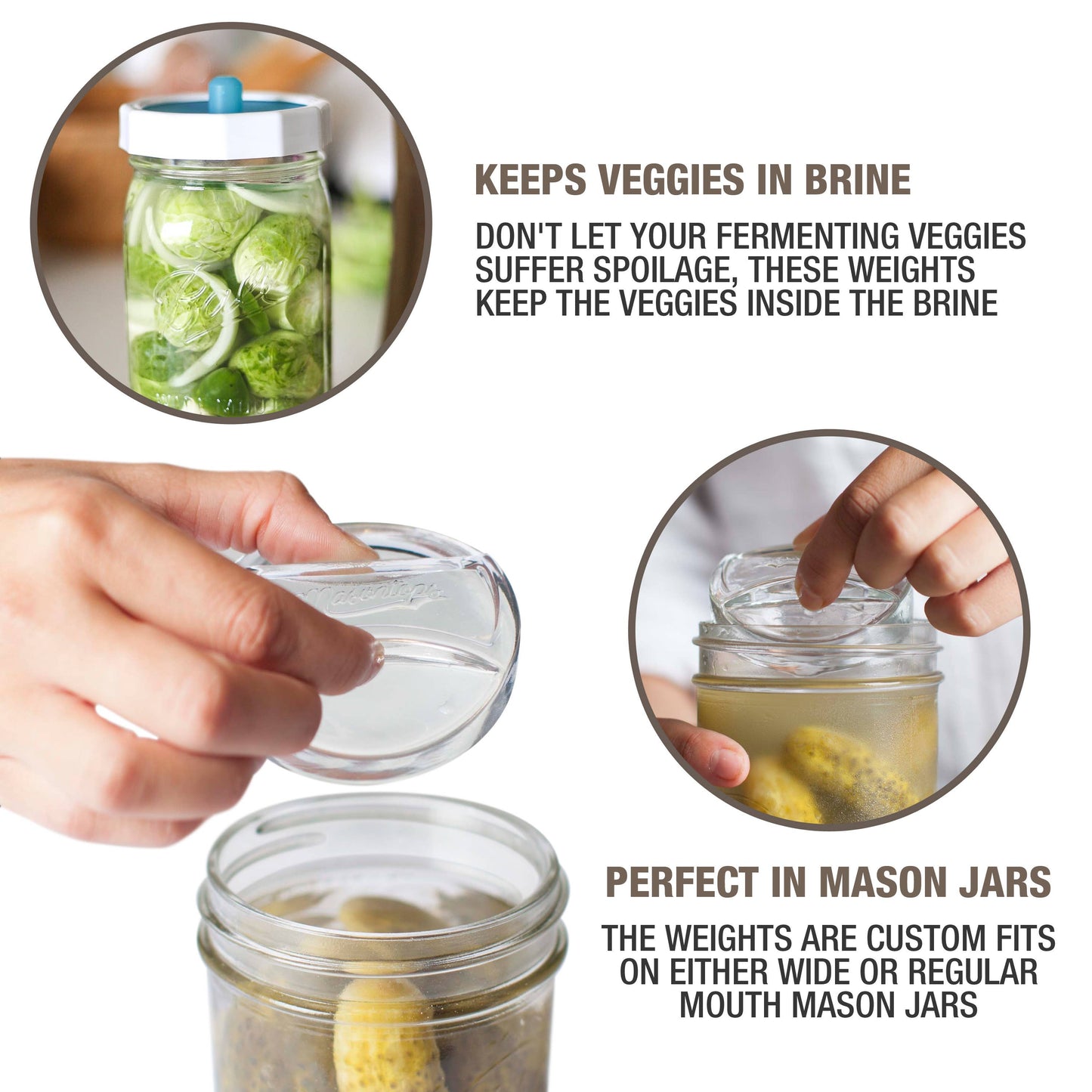 Pickle Pebble Glass Fermentation Weights: Wide Mouth